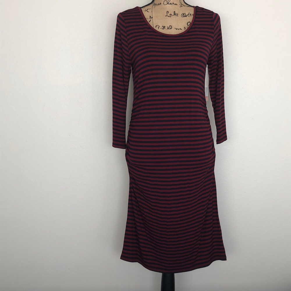 Liz Lange Maternity Stripe Dress